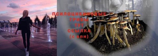 ALPHA PVP Аркадак