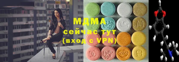 стаф Алексин