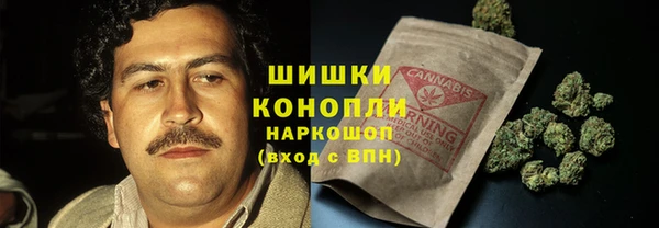 ECSTASY Армянск