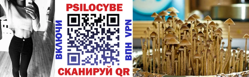 Купить  Краснодар  Псилоцибиновые грибы мухоморы 