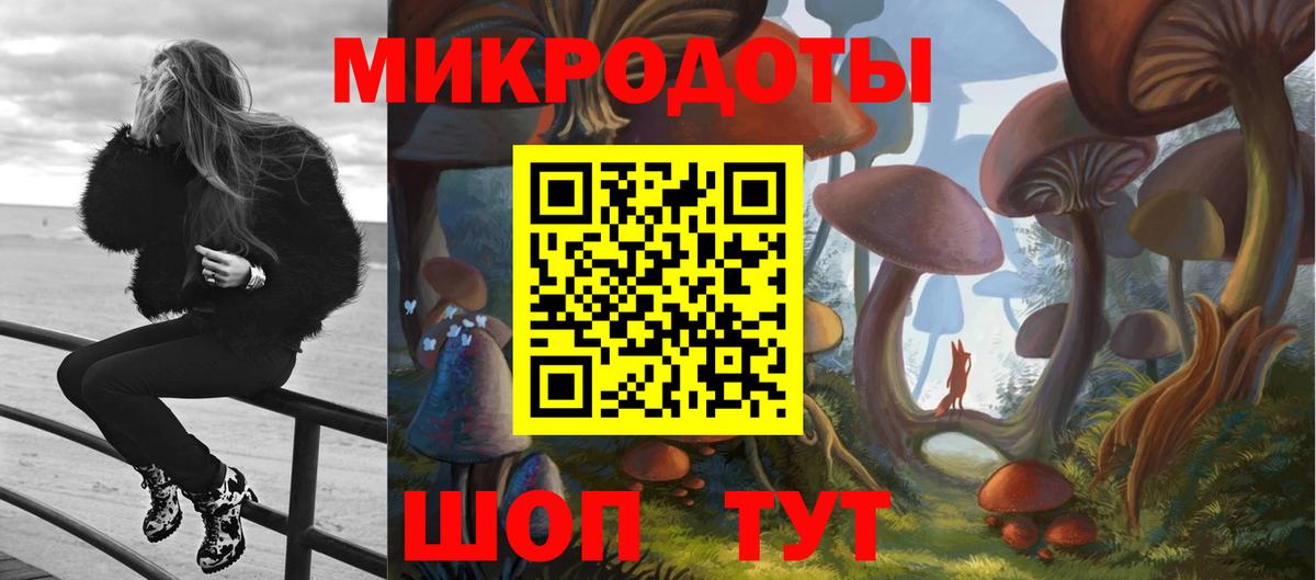 Краснодар  Псилоцибиновые грибы Psilocybe  Вход с VPN 